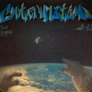 两口子性爱视频
